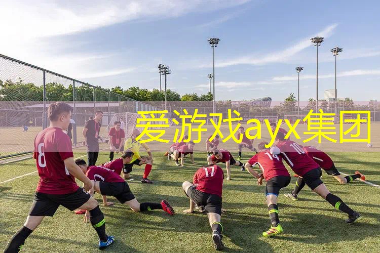 百元内网球拍平价