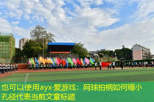 网球拍柄如何缩小孔径