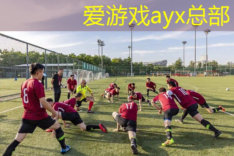 飞尔顿网球拍训练器