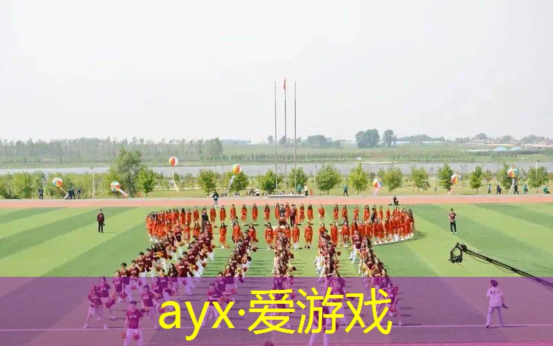 欧帝尔网球拍是国产吗_