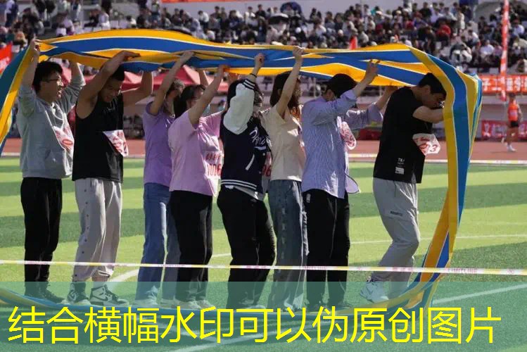 训练用的弹性好的网球拍