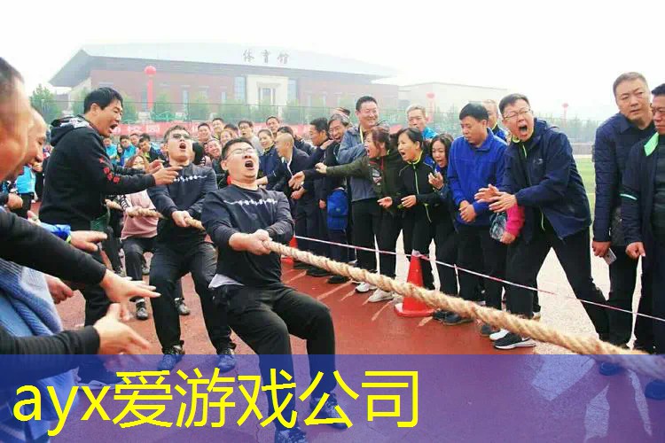 网球拍子母线是几根