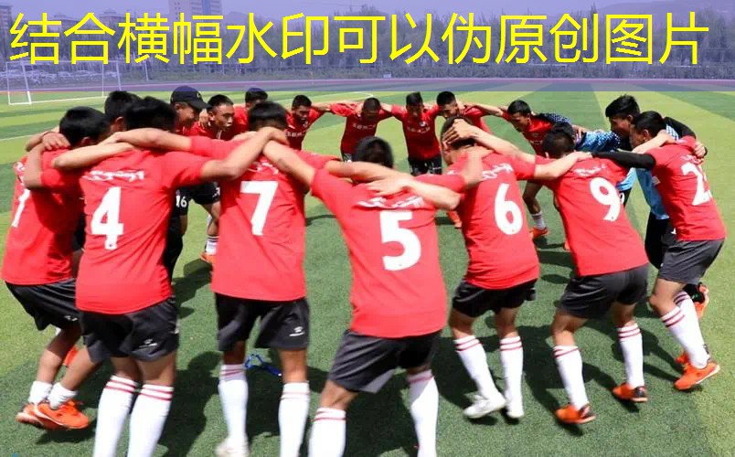 网球拍是什么物体组成的