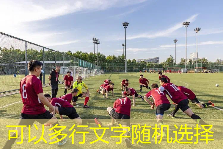 网球拍适合新手的拍子吗_