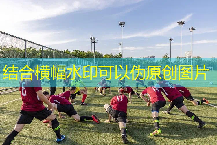 金宇新款网球拍价格多少