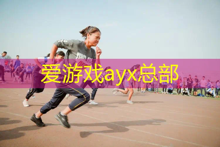 网球拍谁综合实力第一