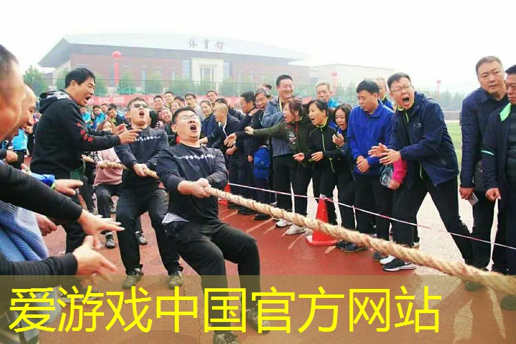 新人网球拍哪个好用一点