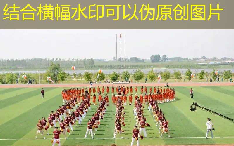 网球拍怎么选国产的好