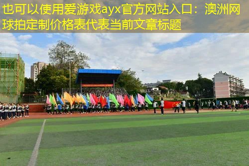澳洲网球拍定制价格表
