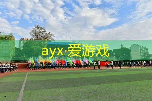 如何粘好网版网球拍