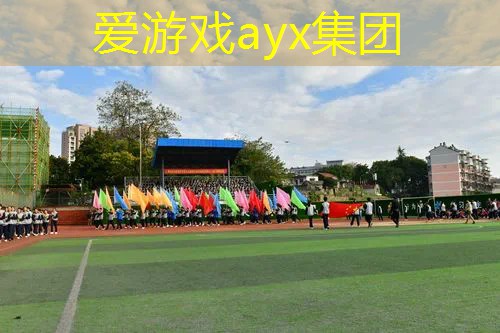 碳铝合金和碳素网球拍