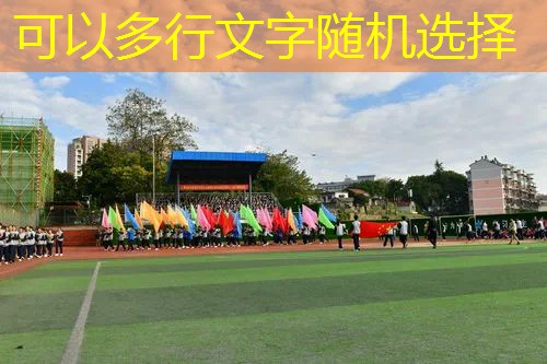 碳复合球拍和全碳素网球拍哪个好