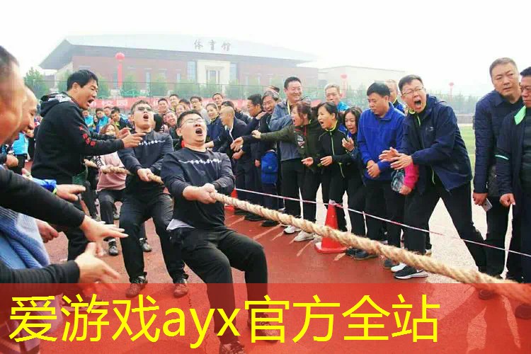 网球拍65拍能用多久啊