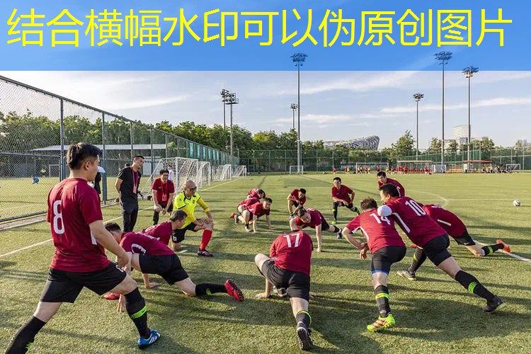 什么网球拍好平价的好用