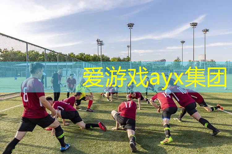 威尔逊网球拍324克多重