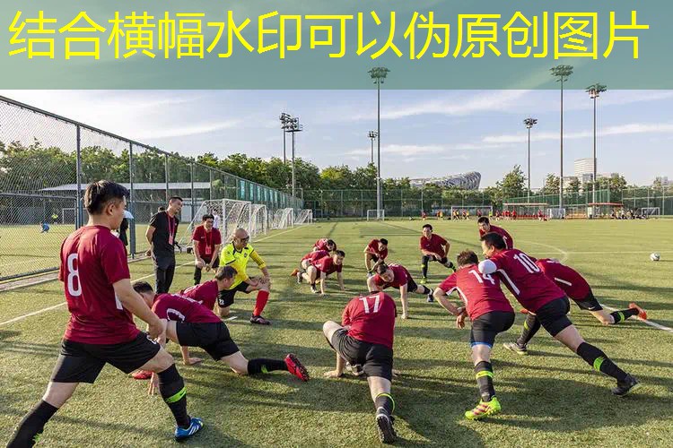 碳素网球拍性价比怎么样