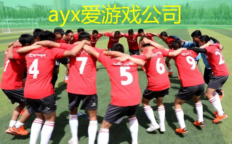 哪款网球拍线最耐打耐磨