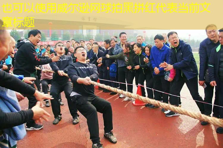 威尔逊网球拍黑拼红