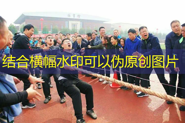 国产网球拍国货之光怎么样