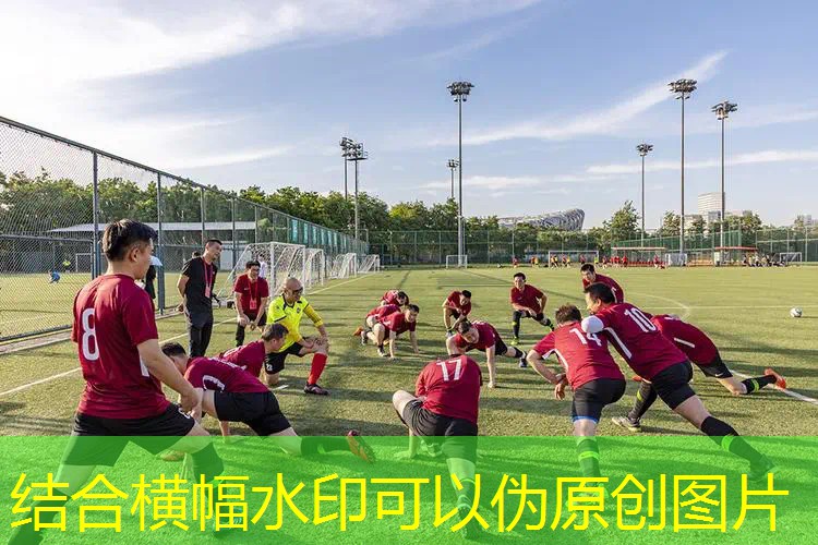 网球拍保值还是羽毛球拍能保持