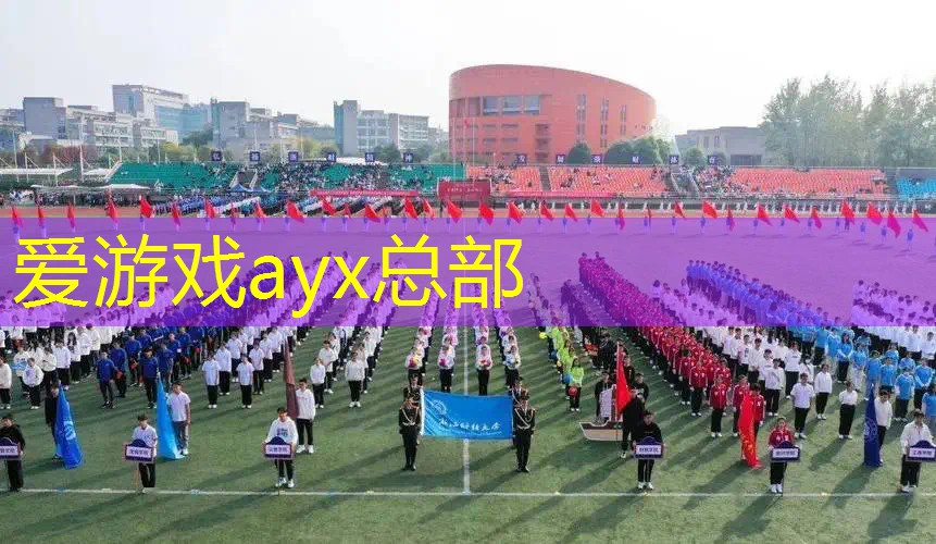 网球拍怎么选新手拍的
