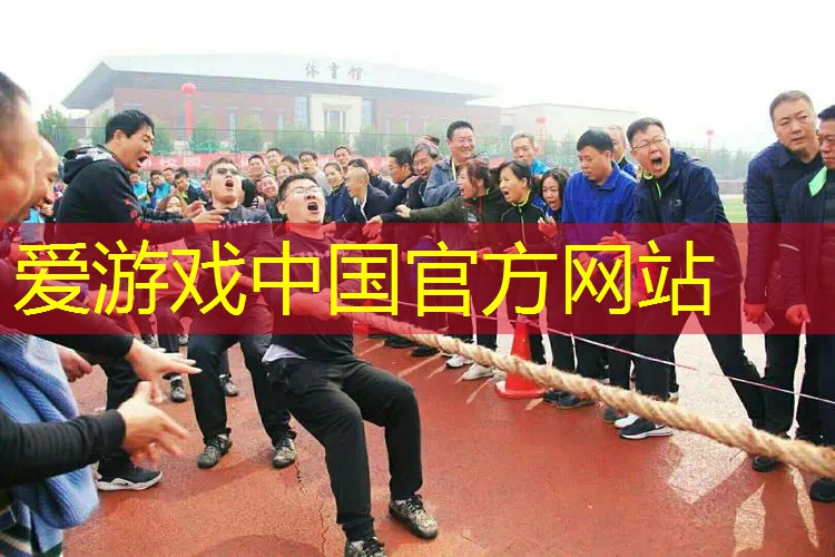 成人网球拍初学者