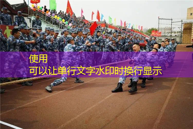 莉莉单人网球拍价格表