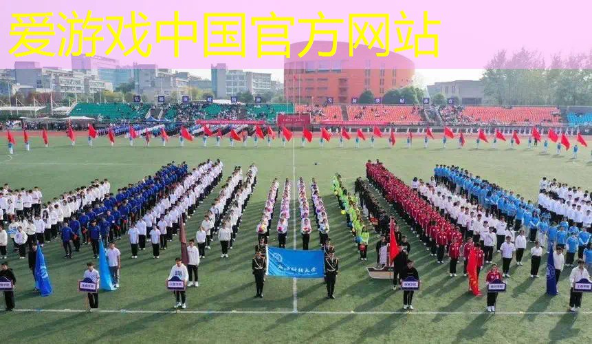 网球拍避震怎么选择好点