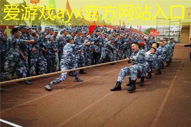 网球拍手胶哪个性价比高