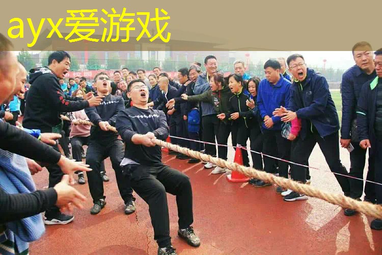 百宝力成人网球拍