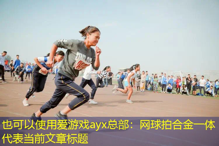 网球拍合金一体