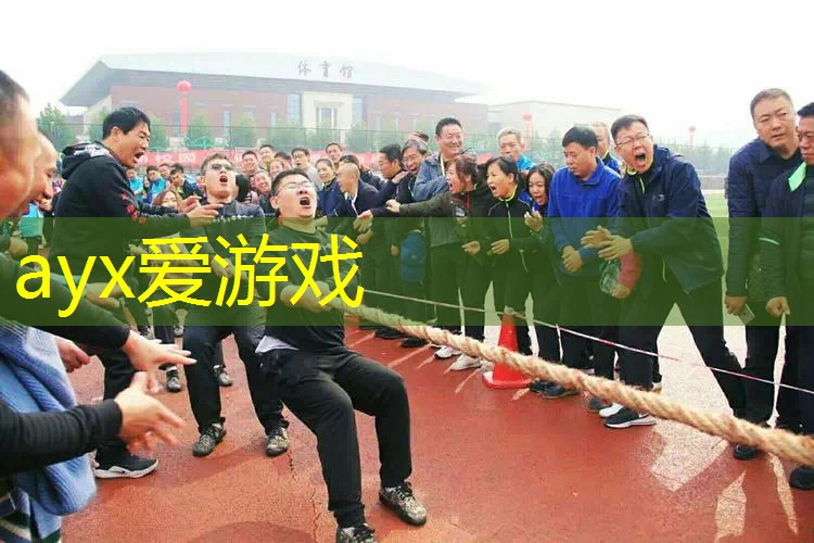 板式网球拍哪种好用一点