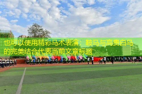 精彩马术表演：鞍马与高贵白马的完美结合