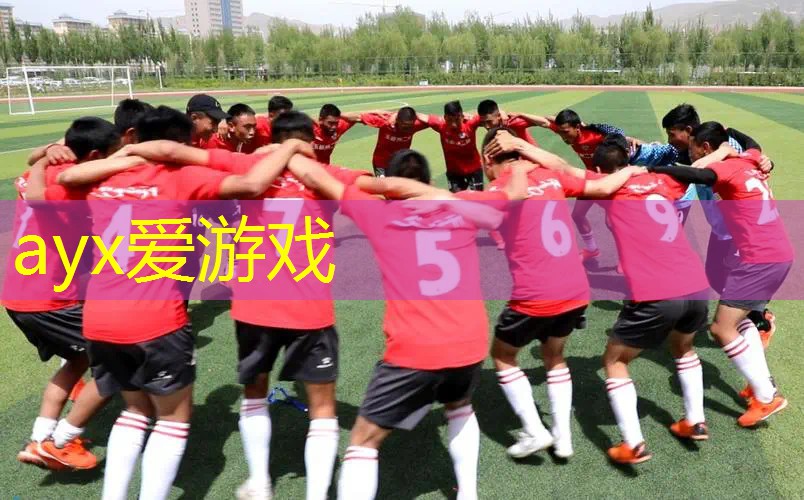 儿童体能训练专用篮球器材